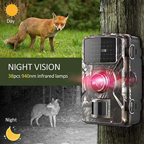 12MP Waterproof Game Trail Hunting Camera - IR Night Vision - HD Video Function
