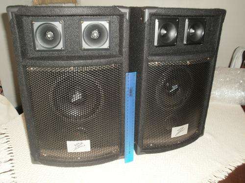 PRO DJ DESIGNER SERIES Z-604 100WATT SPEAKER