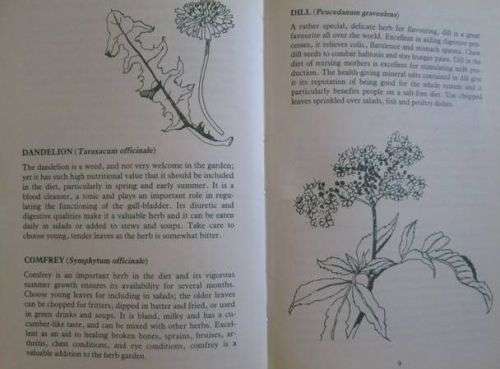 Summer Cooking with Herbs - Margaret Roberts