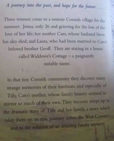 Searching for Tilly - Susan Sallis