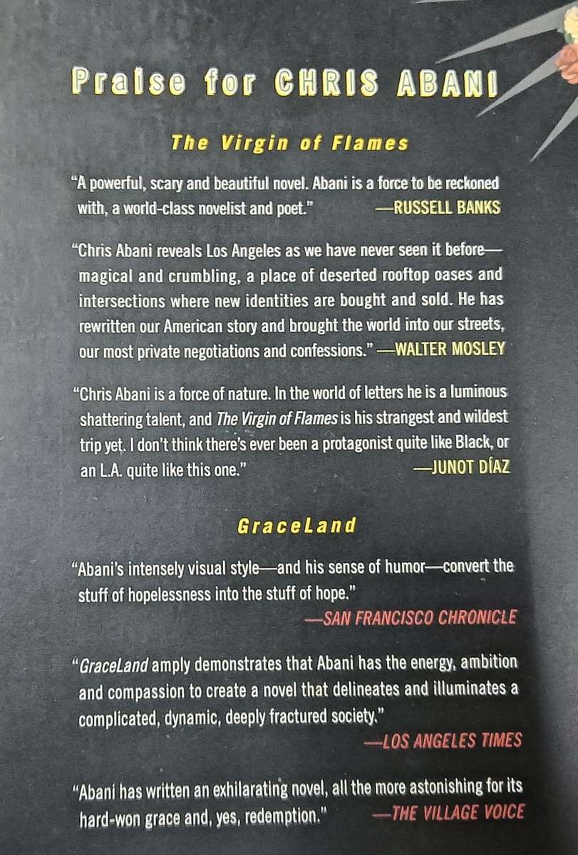 The Virgin of the Flames - Chris Abani - Softcover US B format - 291 pages