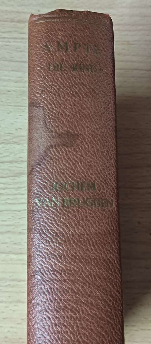 Ampie Die Kind (Deel 111) - Jochem van Bruggen Hardcover - 349 pages