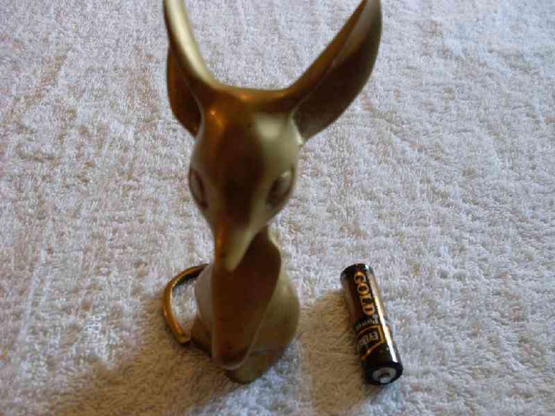 Cute Large-eared Brass mouse
