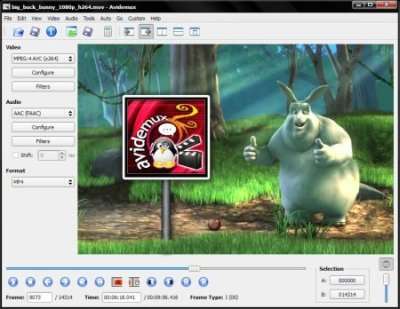 AVI DEMUX VIDEO EDITING SOFTWARE for any pc / laptops / Computer software for video camera