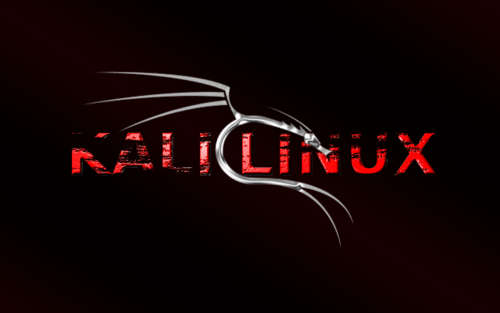 Kali linux Live DVD 32bit hack crack wireless security wifi WEP WPA2 backtrack