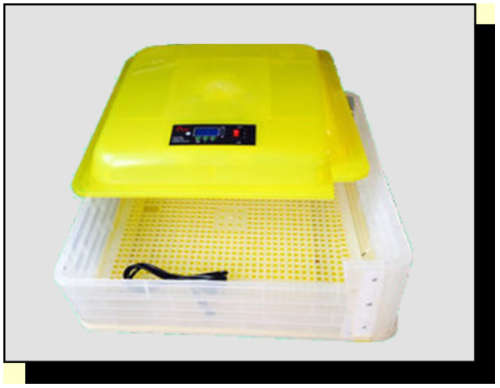 88 Egg Incubator