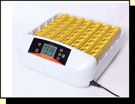 56 Egg Automatic Turning Incubator