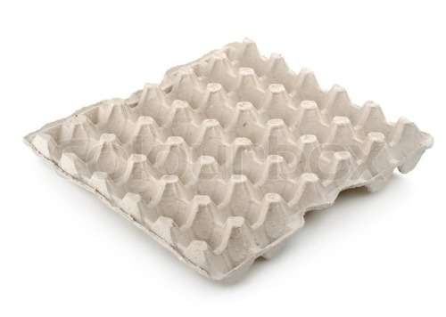 Egg Trays
