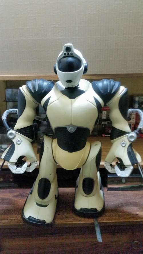 Remote Controlled Robot Toy