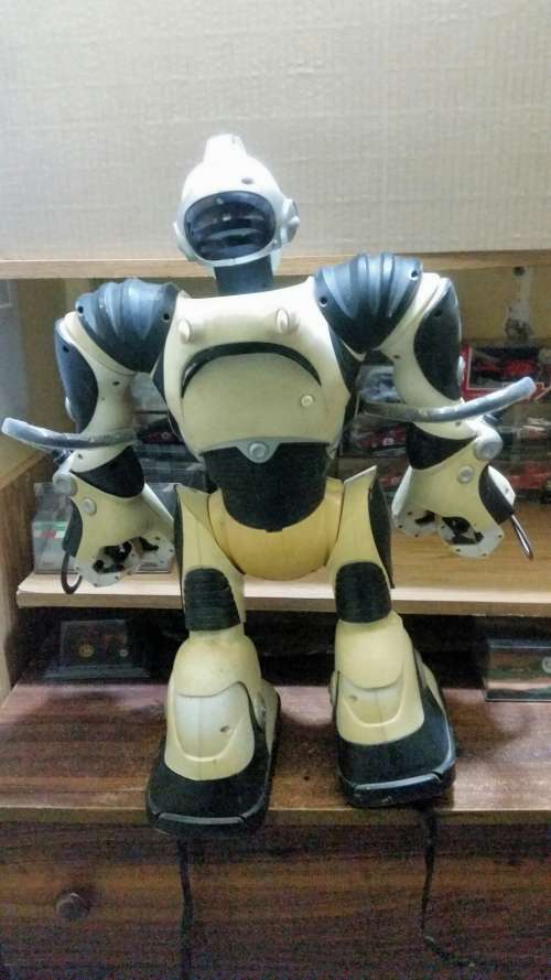 Remote Controlled Robot Toy