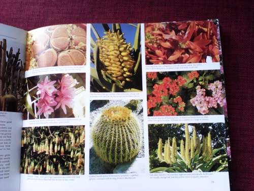 A South African Garden For All Seasons. H/C. 352 pp.
