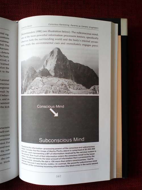 The Biology of Belief by Bruce H Lipton. H/C with jacket. 2005. 224 pp.