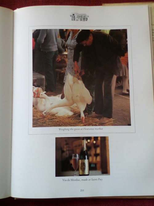 Memories of Cascony by Pierre Koffmann and Timothy Shaw. 1st 1990. H/C with jacket. Large. 256 pp.