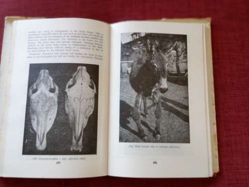 Handbook of Stock Diseases by Mönnig and Veldman. 5th revised edition 1970. H/C with jacket. 459 pp.