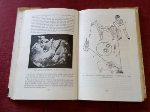 Handbook of Stock Diseases by Mönnig and Veldman. 5th revised edition 1970. H/C with jacket. 459 pp.