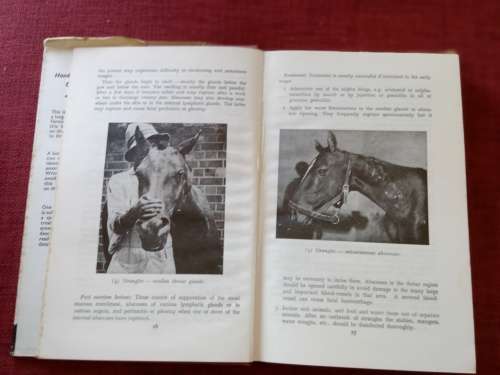 Handbook of Stock Diseases by Mönnig and Veldman. 5th revised edition 1970. H/C with jacket. 459 pp.