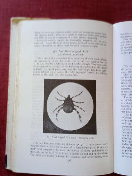 Handbook of Stock Diseases by Mönnig and Veldman. 5th revised edition 1970. H/C with jacket. 459 pp.