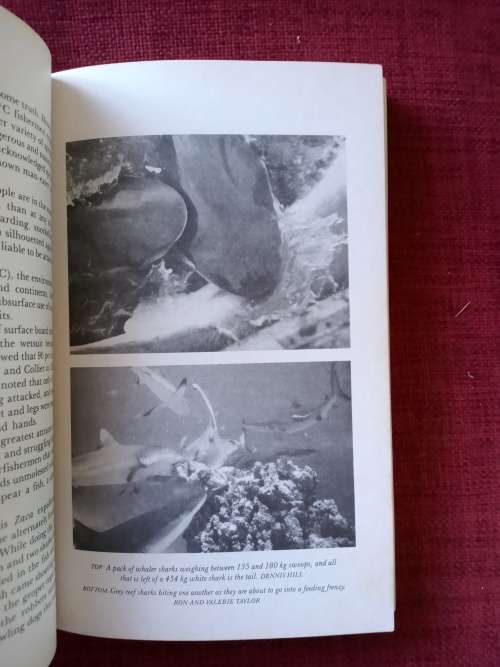 Shark Attack by Victor Coppleson and Peter Goadby. Revised edition 1988. S/C. 262 pp.