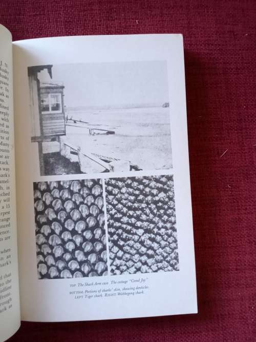 Shark Attack by Victor Coppleson and Peter Goadby. Revised edition 1988. S/C. 262 pp.