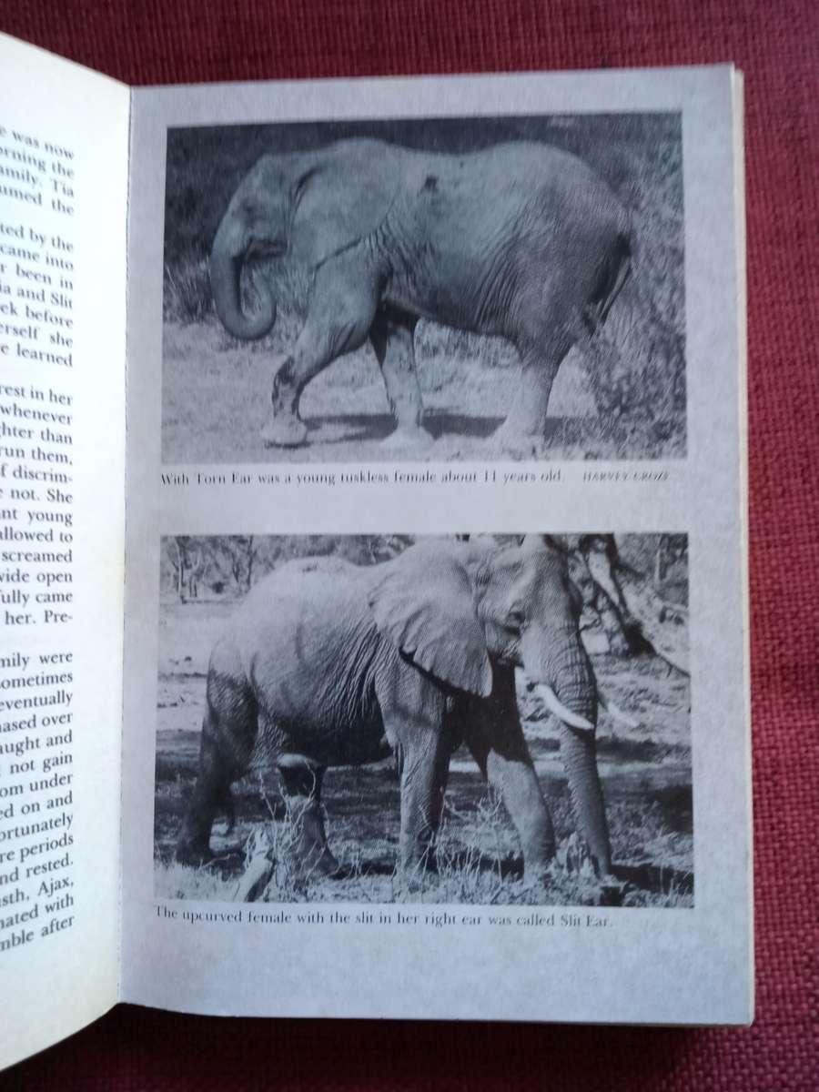 Elephant Memories by Cynthia Moss. Fontana paperback 1989. 336 pp.