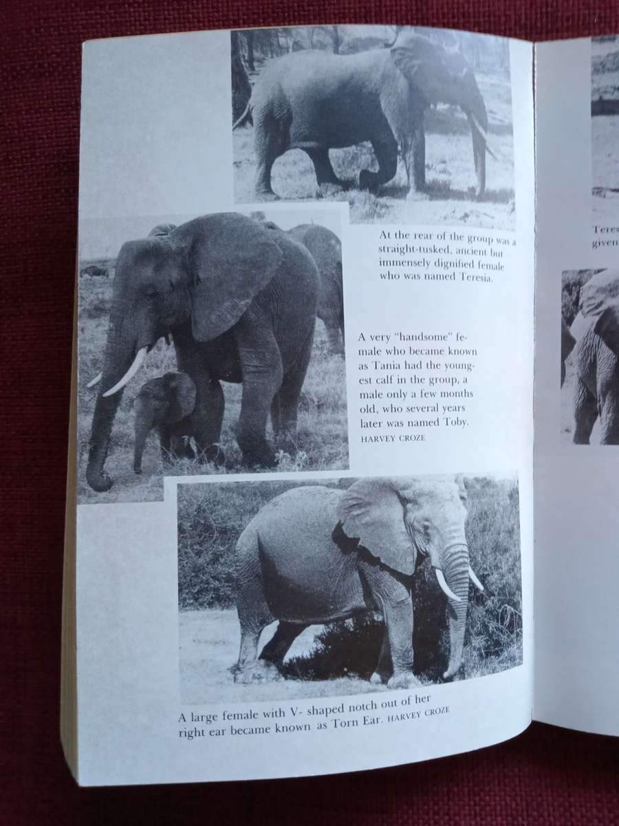 Elephant Memories by Cynthia Moss. Fontana paperback 1989. 336 pp.