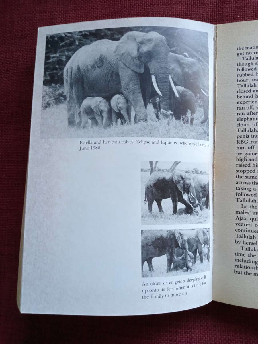 Elephant Memories by Cynthia Moss. Fontana paperback 1989. 336 pp.