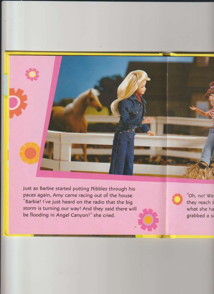 Barbie Riding to the rescue hard cover book girls children`s story book