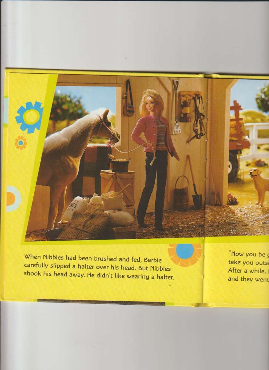 Barbie Riding to the rescue hard cover book girls children`s story book