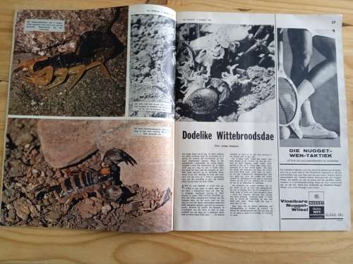 Huisgenoot 2 September 1966 tydskrif