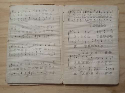 Psalms en gezangen (1875)