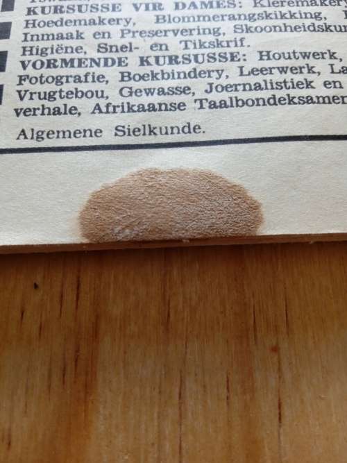 Huisgenoot 5 Februarie 1965 tydskrif