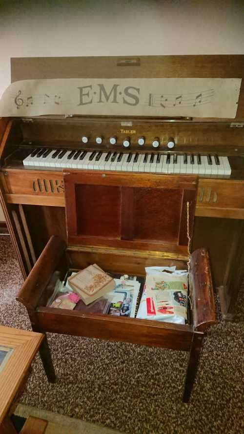 EMS portable foot pumped organ with chair