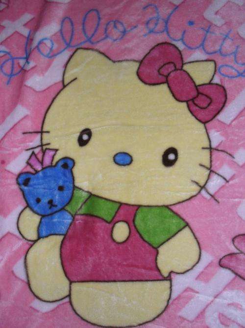 Super Snuggly Blanket - Just in time for the chilly days (Hello Kitty)