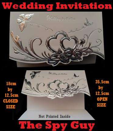 Wedding Invitations Pack of 10 Includes Envelopes Elegantly Made Silver or Gold Print Your Own