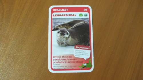 Pick n Pay Trading Card - 26 - Leopard Seal