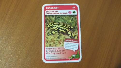 Pick n Pay Trading Card - 27 - Southern Corroboree Frog