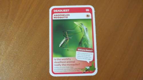 Pick n Pay Trading Card - 35 - Anopheles Mosquito