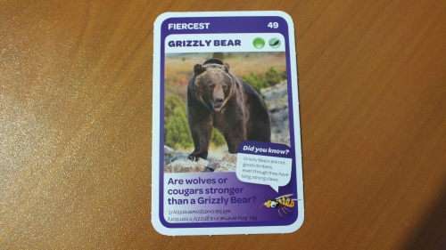 Pick n Pay Trading Card - 49 - Grizzly Bear