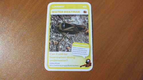 Pick n Pay Trading Card - 93 - Water Boatman