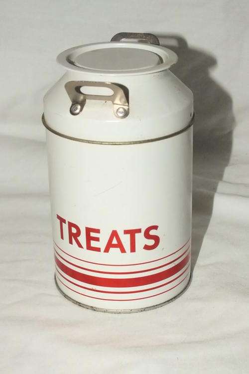 Tin - Treats Tin with Handles - White