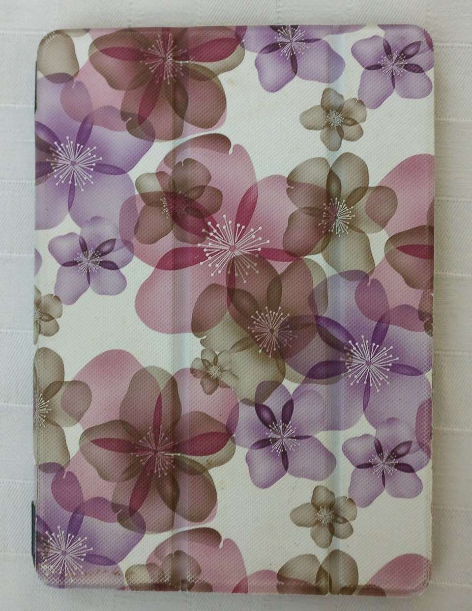 iPad Air wifi & cellular