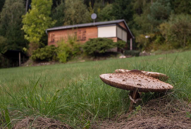 Hanimex MC 28mm f2.8