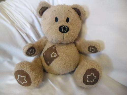 Early Learning Centre talking and singing bear