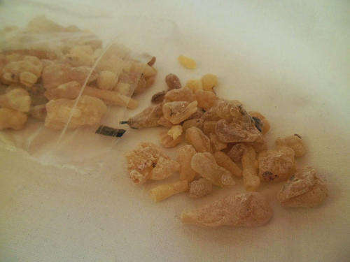 FRANKINCENSE RESIN (BOSWELLIA CARTERII) 10 GRM