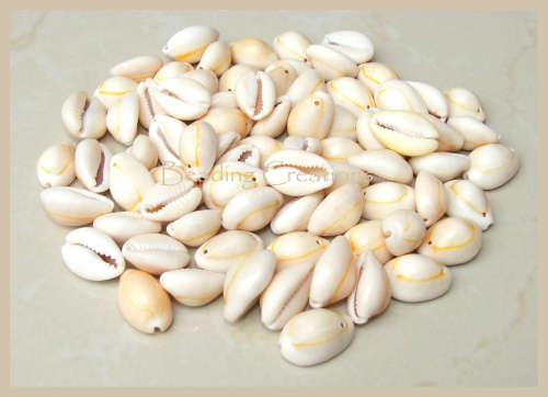 Natural Cowrie Cowry Shells Ring Top Beads Double Drilled