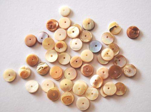 NATURAL - SHELL - FLAT ROUND COIN BEADS 10x2mm - 10 PIECES