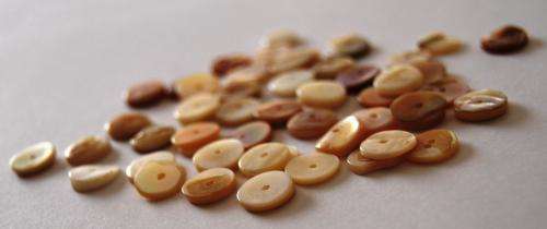 NATURAL - SHELL - FLAT ROUND COIN BEADS 10x2mm - 10 PIECES