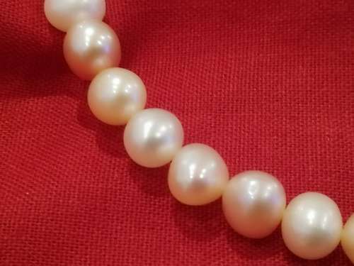 Freshwater pearl necklace and earrings.