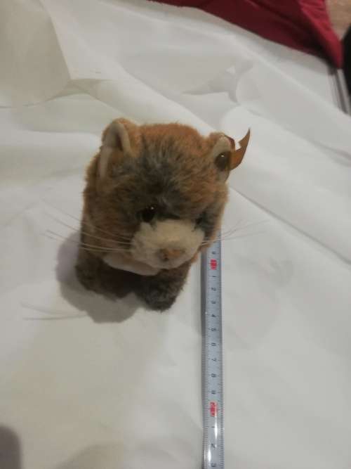 Steiff Cat- As per pictures. Has number . Collectable