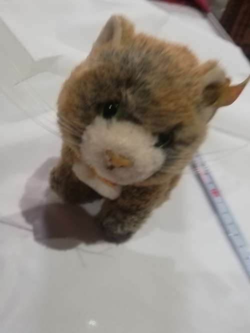 Steiff Cat- As per pictures. Has number . Collectable